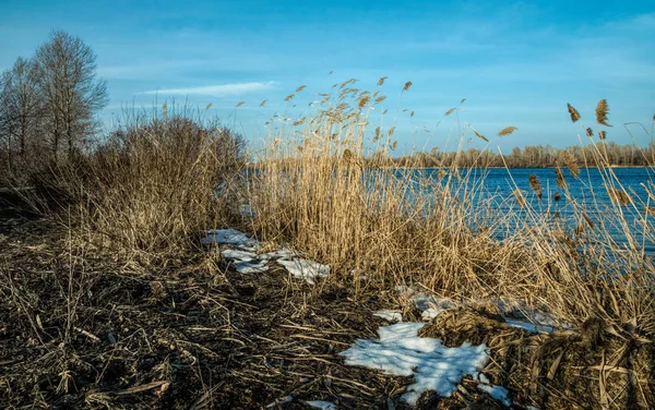 Sonnige Wiese Herbst Zugefrorener See Und Pappeln — Stockfoto