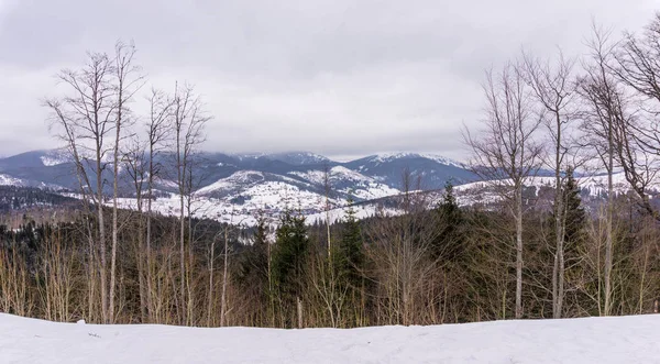 Winter cloudy landscape of the Carpathian Mountains in Eastern Europe