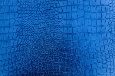 Klasik timsah derisi dokusu ve arkaplanı