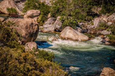 Sierra Nevada, Kaliforniya'da Rapids ile Dağ Nehri. Sekoya Ulusal Ormanı