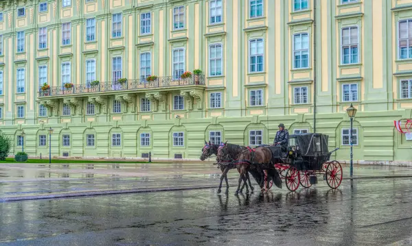 Вена Австрия Июля 2019 Года Туристический Развлекательный Конный Экипаж Старой — стоковое фото