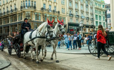Viyana / Avusturya - 13 Temmuz 2019: Eski Viyana caddesinde at arabasıyla turist ağırlama. Avusturya 'nın başkentinde soğuk ve yağmurlu bir yaz günü. Eski ıslak caddelerde yürüyen turistler 