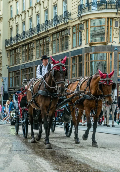 Viyana Avusturya Temmuz 2019 Eski Viyana Caddesinde Arabasıyla Turist Ağırlama — Stok fotoğraf