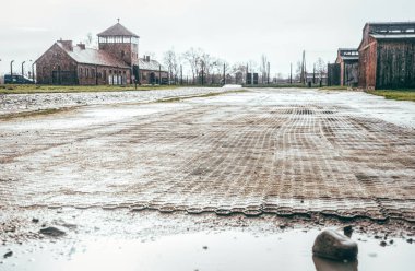 Polonya 'daki Auschwitz-Birkenau Nazi toplama kampının bölgesi. Avrupa 'da soykırım