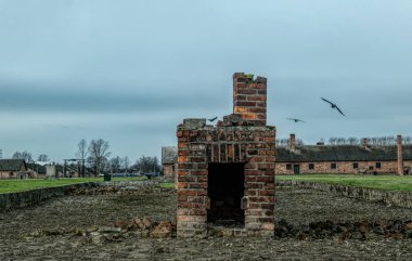 Polonya 'daki Auschwitz-Birkenau Nazi toplama kampının bölgesi. Avrupa 'da soykırım