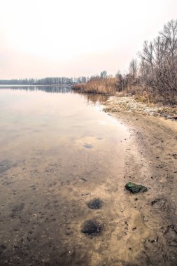 Uk 'taki bataklık çayır ve göllerin kış soğuk manzarası. Yaşlı ağaçlar ve sazlıklar kıyılarda büyümüş.