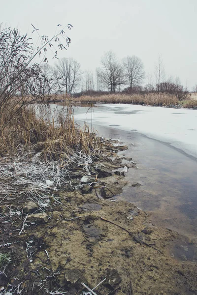 Paysage Froid Hivernal Prairies Marécageuses Lacs Royaume Uni Vieils Arbres — Photo