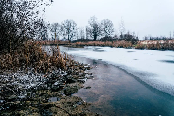 Paysage Froid Hivernal Prairies Marécageuses Lacs Royaume Uni Vieils Arbres — Photo