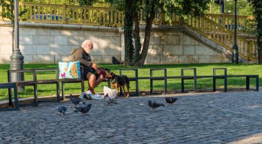 Budapeşte / Macaristan - 29 Ağustos 2019: köpeği olan yaşlı evsiz bir adam Budapeşte, Macaristan 'da bir şehir parkında bir bankta oturuyor ve kuşları besliyor. Evsizliğin, yalnızlığın ve yoksulluğun sosyal sorunu
