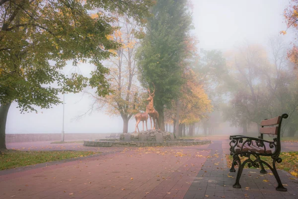 Klidný Opuštěný Přímořský Podzimní Městský Park Mokré Zamlžené Podzimní Ráno — Stock fotografie