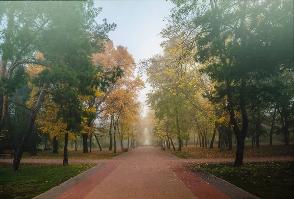 Klidný Opuštěný Přímořský Podzimní Městský Park Mokré Zamlžené Podzimní Ráno — Stock fotografie