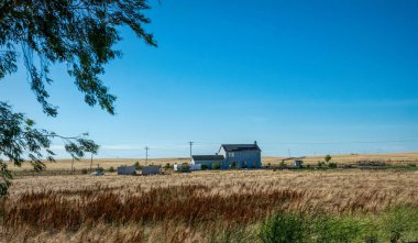 Lodi, California / USA - June 15 2017: old wooden house and farm buildings on a ranch in Ladai, California, USA. Arid California climate and dried grass on pastures. Summer trip to southwest USA