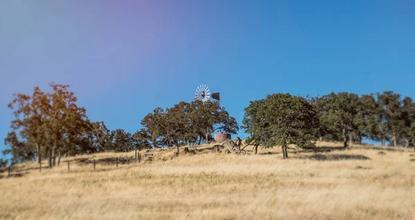 Paisagem Rural Califórnia Campos Moinho Água — Fotografia de Stock