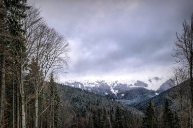 Doğu Avrupa 'daki Karpat Dağları' nın kış bulutlu manzarası
