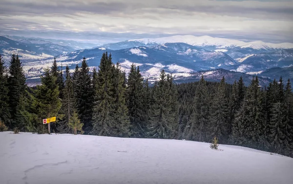 Winter cloudy landscape of the Carpathian Mountains in Eastern Europe