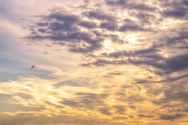 Natural background. Gray storm clouds