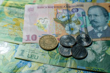 Romen paraları ve Ley 'i finanse ediyor. Doğu Avrupa Ekonomisi