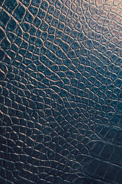 Vintage Texture Élégante Peau Crocodile — Photo