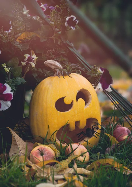 Täljd Pumpa Lampa Och Höst Trädgård Traditionella Halloweendekorationer — Stockfoto