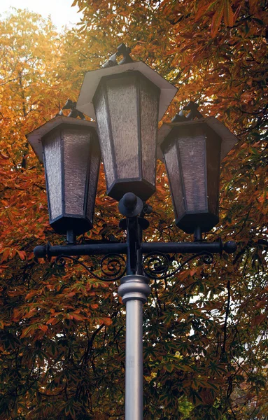 Lampada Strada Vintage Alberi Autunnali Nel Parco — Foto Stock