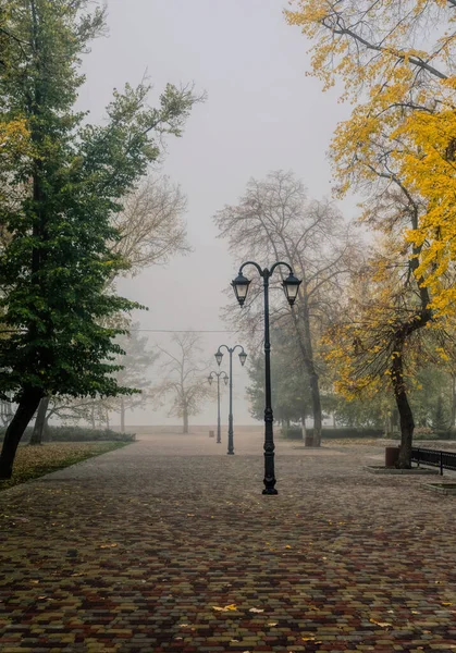 Csendes Elhagyatott Tengerparti Őszi Városi Park Nedves Őszi Köd Reggel — Stock Fotó