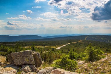 Mavi gökyüzü manzaralı Dağdaki Yeşil Çayır 