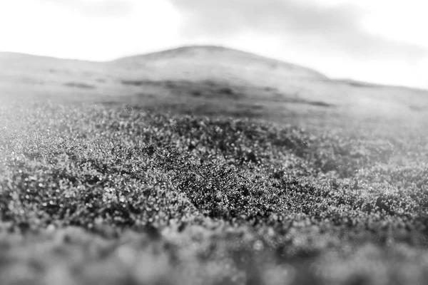Чорно-біла трава на фоні гірки боке — стокове фото