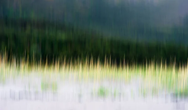 Vertikale Bewegung verschwimmen Gras Hintergrund — Stockfoto