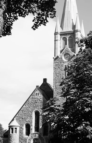 Vertical Trondheim cathedral background — Stock Photo, Image