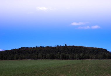 Orman manzara arka plan ile yatay hill