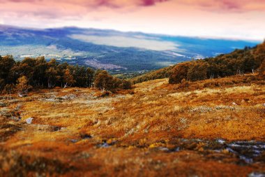 Klasik Norveç dağ orman manzara arka plan