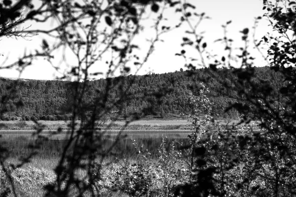 Norsko jezero skrze větve stromů na šířku pozadí — Stock fotografie