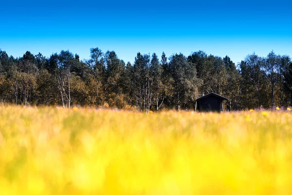 Gazon horizontal sur champ d'automne avec fond bokeh chalet — Photo