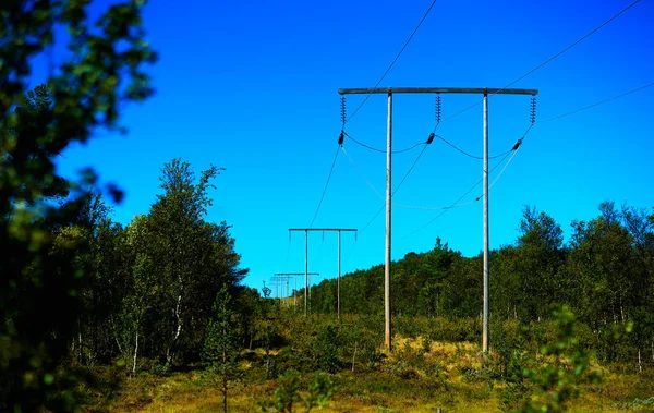 Norwegen Hochspannungsleitung im Sommer Wald Bokeh Hintergrund — Stockfoto