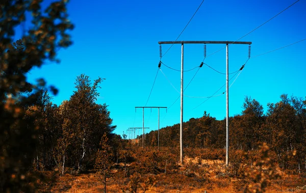 Norwegen Hochspannungsleitung im Herbst Wald Bokeh Hintergrund — Stockfoto