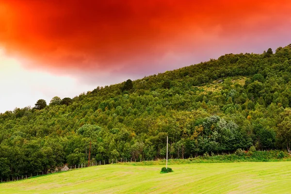 Урожай ЛЕП на фоні Хілл Норвегії — стокове фото