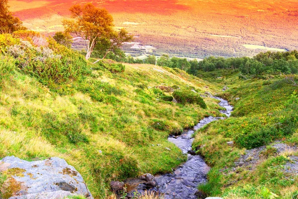 Norway mountain stream landscape background — Stock Photo, Image