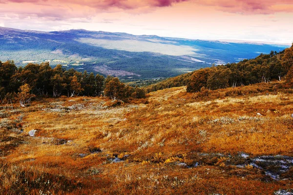 Classico Norvegia foresta di montagna paesaggio sfondo — Foto Stock