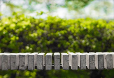 Yatay siyah beyaz park tezgah bokeh arka plan