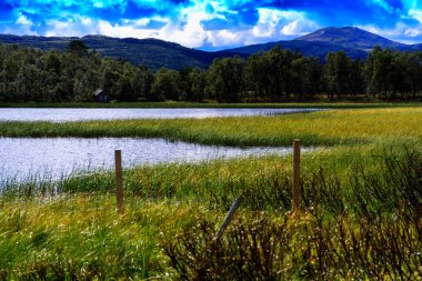 Temiz ekolojik bölge manzara arka plan girme