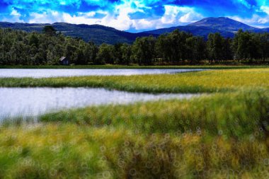 Norveç göl manzara bokeh arka plan