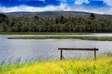 Temiz ekolojik bölge manzara arka plan girme