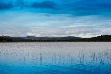 Norveç göl manzara arka planda çim bıçaklar