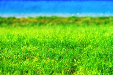 Norveç Gölü beach kızdırma arka planda