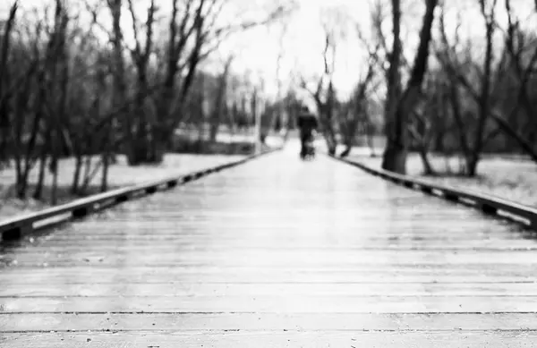 Caminho de madeira preto e branco no fundo do parque bokeh — Fotografia de Stock