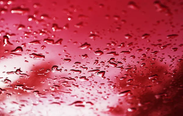 Red water drops after rain bokeh background — Stock Photo, Image