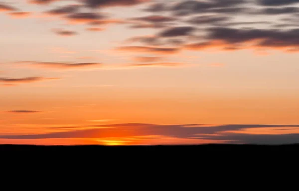 Oranžový západ slunce lese obrys — Stock fotografie