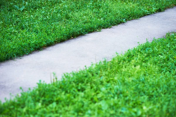 对角公园路径与绿草背景 — 图库照片