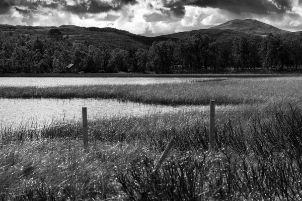 Temiz ekolojik bölge manzara arka plan girme
