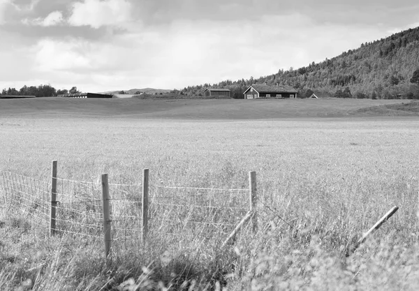 Norveç çiftlik alanı, yatay, çit arka plan